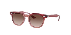 Ray-Ban 0RJ9098S