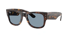 Ray-Ban 0RB0840S