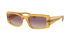 Ray-Ban 0RB4395