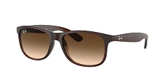 Ray-Ban 0RB4202
