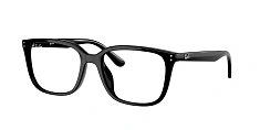 Ray-Ban 0RX7248D