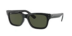Ray-Ban 0RB2283