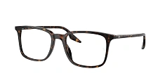 Ray-Ban 0RX5421