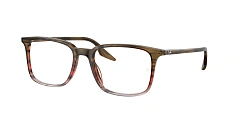 Ray-Ban 0RX5421