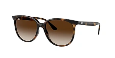 Ray-Ban 0RB4378