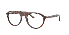 Ray-Ban 0RX5441