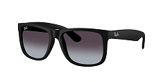 Ray-Ban 0RB4165