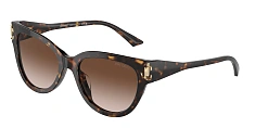 Jimmy Choo 0JC5018U