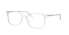 Ray-Ban 0RX5421