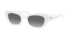 Ray-Ban 0RB4430