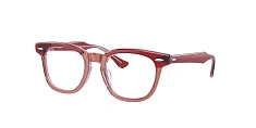 Оправа Ray-Ban  0RY9098V/3960 