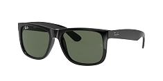 Ray-Ban 0RB4165