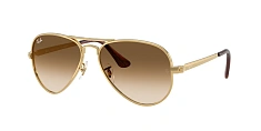 Ray-Ban 0RB3925
