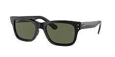 Ray-Ban 0RB2283