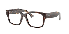 Ray-Ban 0RX7256