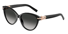 Tiffany & Co. 0TF4261