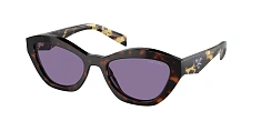 Солнцезащитные очки Prada  0PR A02S/17N60B