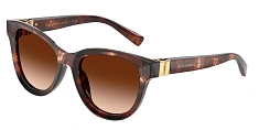 Солнцезащитные очки Dolce & Gabbana  0DG4533/344880
