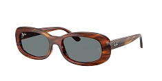 Ray-Ban 0RB2221