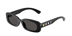 Dolce&Gabbana 0DX6006U