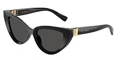 Dolce&Gabbana 0DG4497