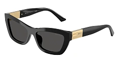 Солнцезащитные очки JIMMY CHOO  0JC5030U/50337N