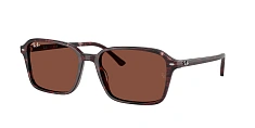 Ray-Ban 0RB2231