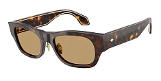 Giorgio Armani 0AR8224
