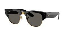 Ray-Ban 0RB0316S