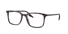 Ray-Ban 0RX5421