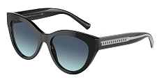 Tiffany & Co. 0TF4220